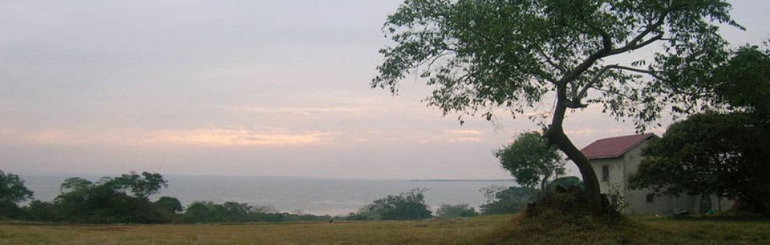View of Lake Victoria, Kinyo, Uganda